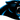 Carolina Panthers
